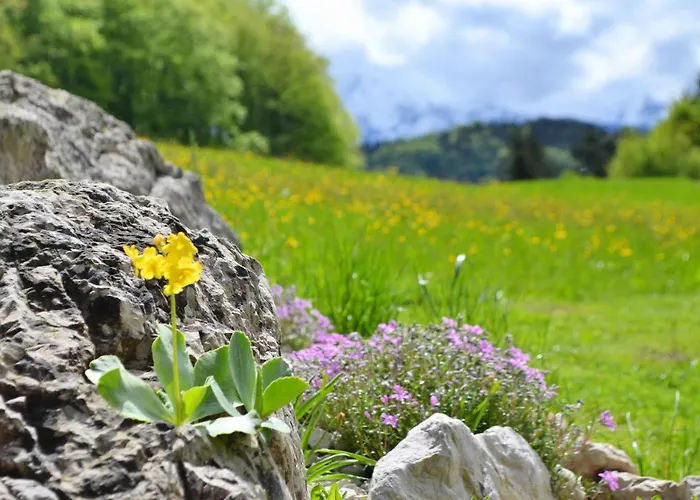 Haus Aschauer *